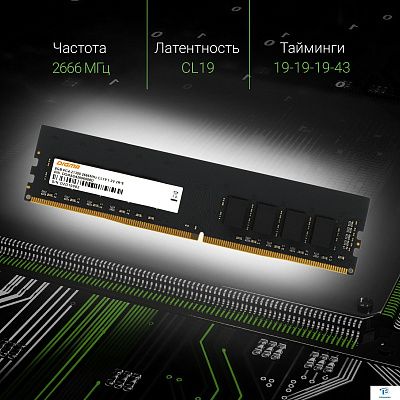 картинка ОЗУ Digma DGMAD42666008D