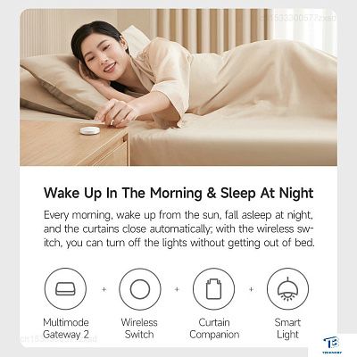 картинка Контроллер Xiaomi Hub 2 BHR6765GL