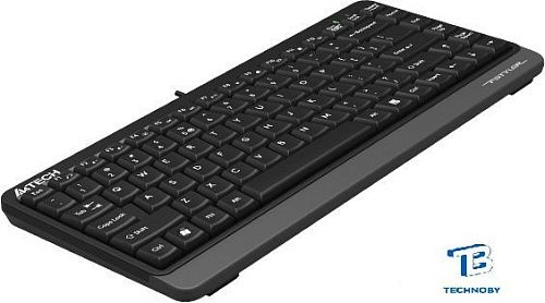 картинка Клавиатура A4Tech Fstyler FKS11 Черный