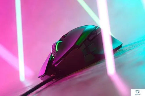 картинка Мышь Razer Basilisk V2