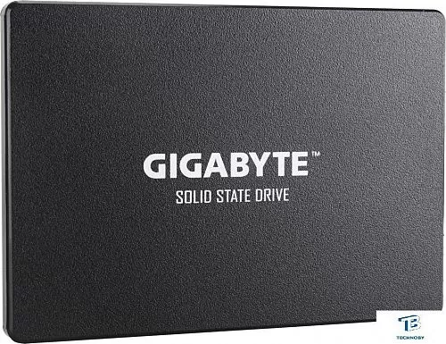 картинка Накопитель SSD Gigabyte 256GB GP-GSTFS31256GTND