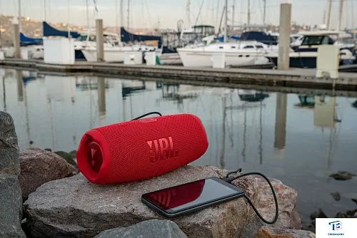 картинка Портативная колонка JBL Charge 5 Камуфляж