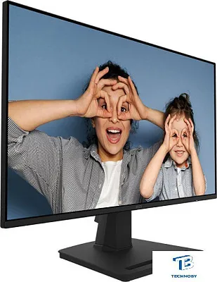 картинка Монитор MSI MP252