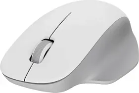 картинка Мышь Xiaomi BHR9354GL